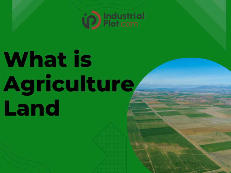 what is agriculture land, advantage and disadvantage of agriculture land
