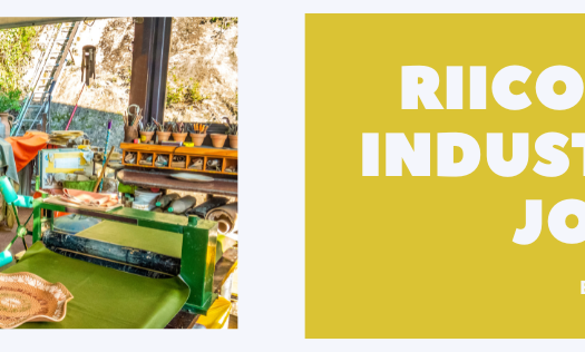 bornada industrial area, jodhpur