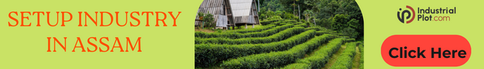 Buy tea estates in Assam